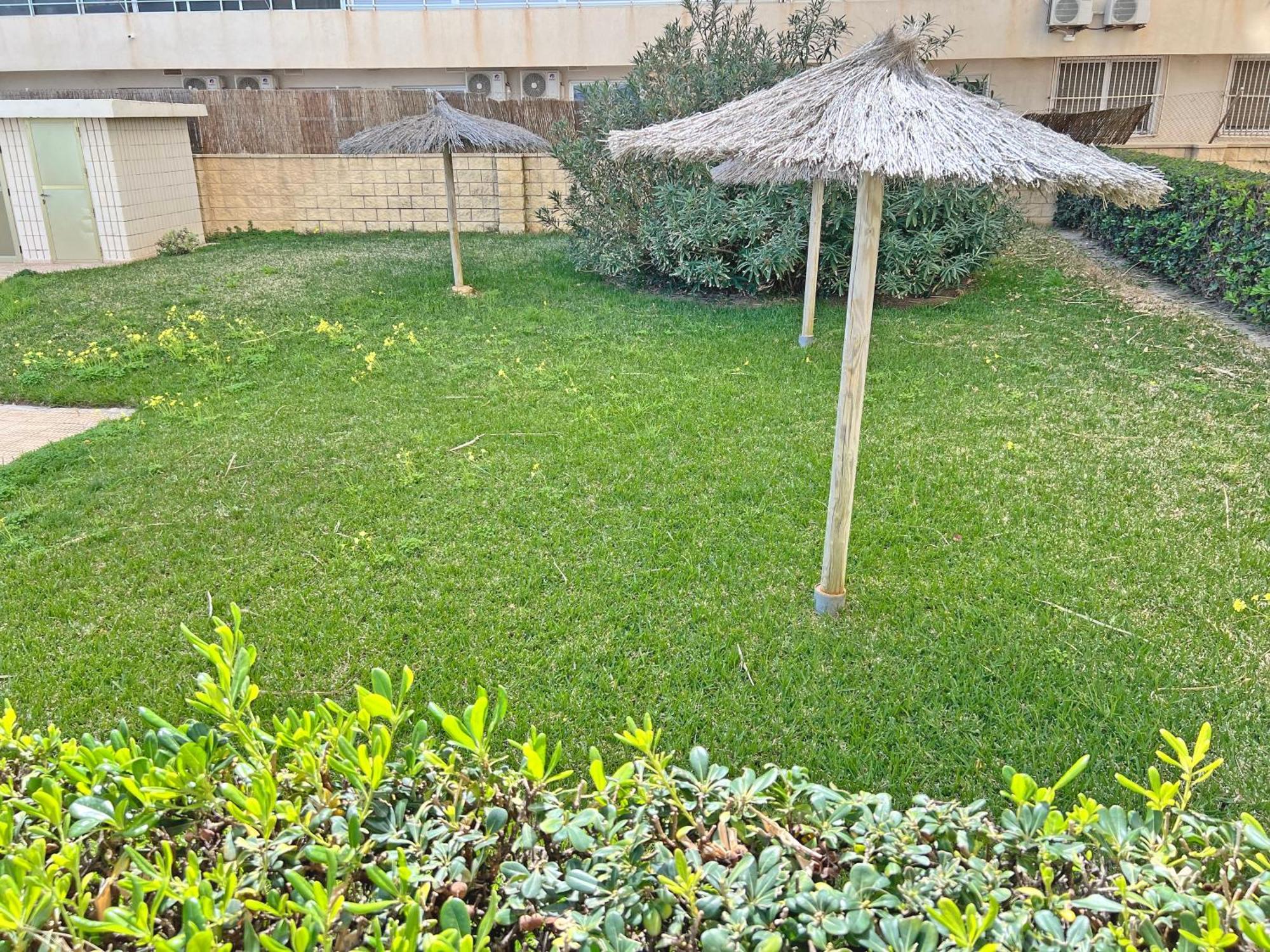 Oasis Frente Al Mar. Parking Gratis Apartment El Campello Ngoại thất bức ảnh